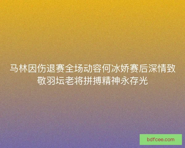 马林因伤退赛全场动容何冰娇赛后深情致敬羽坛老将拼搏精神永存光