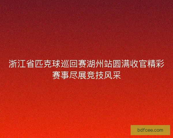 浙江省匹克球巡回赛湖州站圆满收官精彩赛事尽展竞技风采